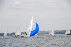 DSC_8608