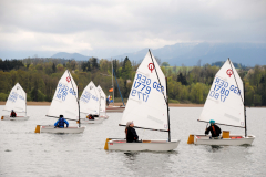 Ansegeln-Optimist-523