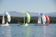 DSC_0480
