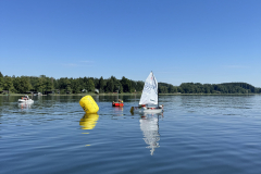 IMG_0779 IMG_0779