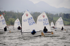 Opti-Simssee-A-Kopie