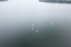DCIM\100MEDIA\DJI_0235.JPG