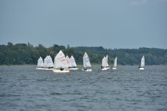 Opti2017_ 049