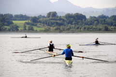 DSC0815-Kopie