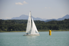 DSC0095