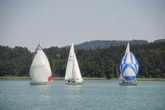 DSC0097